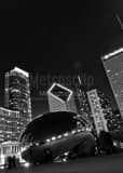 Cloud Gate Bean Black and White Vertical Cloud Gate Bean black and white