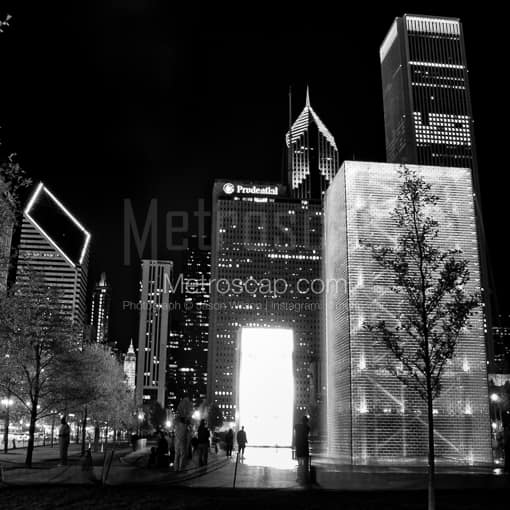 Matte Black MDF Framed Black and White Chicago Photograph: A Sapling is Silhouetted by the Crown Fountain in Millennium Park in a Square Matte Black MDF Frame