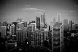 Downtown Chicago From Mccormick Place Black and White Horizontal Downtown Chicago From Mccormick Place black and white