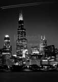 Downtown Chicago Skyline From Adler Planetarium Black and White Vertical Downtown Chicago Skyline From Adler Planetarium black and white