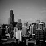 Downtown Chicago Willis Tower Black and White Square Downtown Chicago Willis Tower black and white