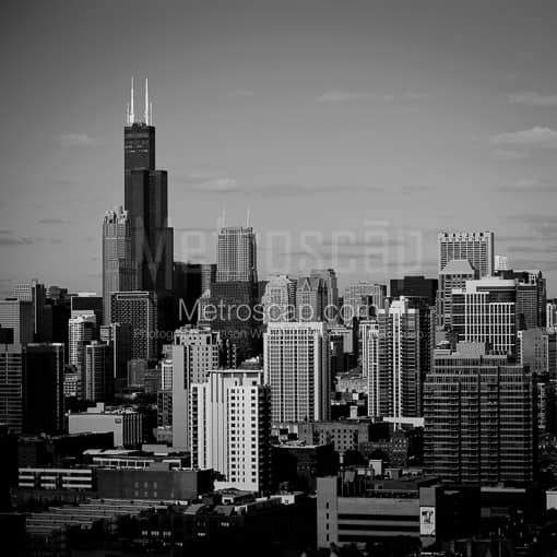 Matte Black MDF Framed Black and White Chicago Photograph: Downtown Chicago and Willis Tower in a Square Matte Black MDF Frame