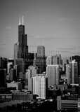 Downtown Chicago Willis Tower Black and White Vertical Downtown Chicago Willis Tower black and white