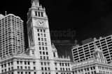 Facade Of Wrigley Building Black and White Horizontal Facade Of Wrigley Building black and white