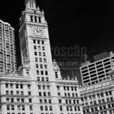 Facade Of Wrigley Building Black and White Square Facade Of Wrigley Building black and white