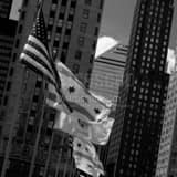Flags Along Michigan Avenue Bridge Black and White Square Flags Along Michigan Avenue Bridge black and white