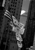 Flags Along Michigan Avenue Bridge Black and White Vertical Flags Along Michigan Avenue Bridge black and white