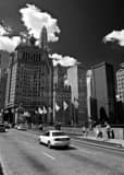 London Guarantee Building Michigan Avenue Black and White Vertical London Guarantee Building Michigan Avenue black and white