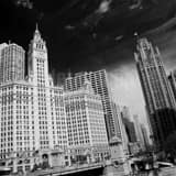 Magnificent Michigan Avenue Tribune Wrigley Building Black and White Square Magnificent Michigan Avenue Tribune Wrigley Building black and white