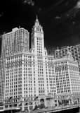 Magnificent Michigan Avenue Tribune Wrigley Building Black and White Vertical Magnificent Michigan Avenue Tribune Wrigley Building black and white