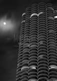 Marina City Towers Black and White Vertical Marina City Towers black and white