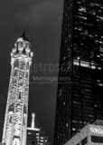 Old Chicago Water Tower Hancock Tower Black and White Vertical Old Chicago Water Tower Hancock Tower black and white