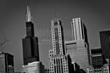 Sears Tower Daley Plaza Grant Park Black and White Horizontal Sears Tower Daley Plaza Grant Park black and white
