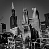 Sears Tower Daley Plaza Grant Park Black and White Square Sears Tower Daley Plaza Grant Park black and white