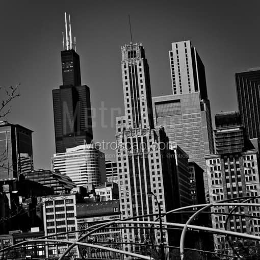 Matte Black MDF Framed Black and White Chicago Photograph: The Sears Tower from Daley Plaza in Grant Park in a Square Matte Black MDF Frame