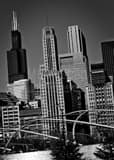 Sears Tower Daley Plaza Grant Park Black and White Vertical Sears Tower Daley Plaza Grant Park black and white
