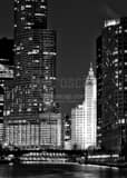 Trump Tower From Lakeshore Drive Black and White Vertical Trump Tower From Lakeshore Drive black and white