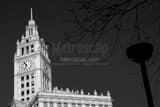 Wrigley Building Clock Black and White Horizontal Wrigley Building Clock black and white