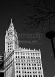 Wrigley Building Clock Black and White Vertical Wrigley Building Clock black and white
