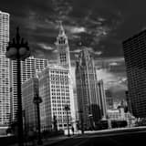 Wrigley Building Tribune Building Wacker Drive Black and White Square Wrigley Building Tribune Building Wacker Drive black and white