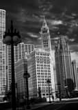 Wrigley Building Tribune Building Wacker Drive Black and White Vertical Wrigley Building Tribune Building Wacker Drive black and white