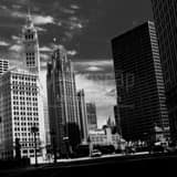Wrigley Tribune Buildings Whispy Sky Black and White Square Wrigley Tribune Buildings Whispy Sky black and white