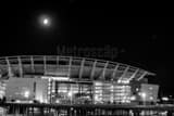 Paul Brown Stadium Black and White Horizontal Paul Brown Stadium black and white