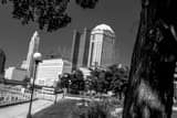 Columbus Skyline Bicentennial Park Black and White Horizontal Columbus Skyline Bicentennial Park black and white