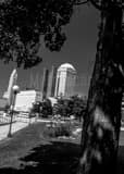 Columbus Skyline Bicentennial Park Black and White Vertical Columbus Skyline Bicentennial Park black and white