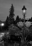 Frank Fetch Park German Village Black and White Vertical Frank Fetch Park German Village black and white
