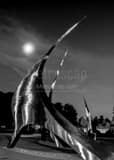 Navistar Sculptures Franklin Park Conservatory Black and White Vertical Navistar Sculptures Franklin Park Conservatory black and white