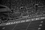 Ohio State Buckeyes Home Opener Black and White Horizontal Ohio State Buckeyes Home Opener black and white