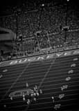 Ohio State Buckeyes Home Opener Black and White Vertical Ohio State Buckeyes Home Opener black and white