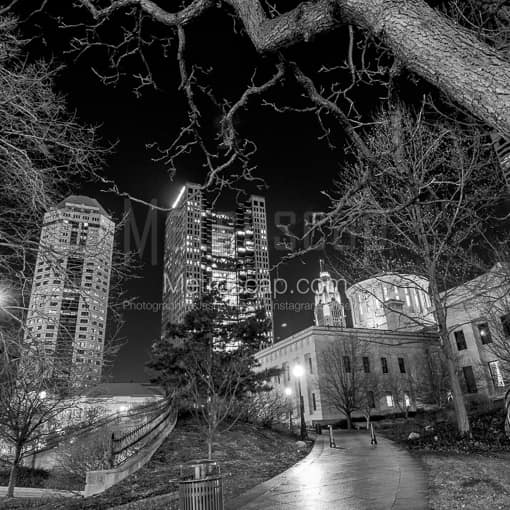 Matte Black MDF Framed Black and White Columbus Photograph: The Ohio State House under a Dead Oak Tree in a Square Matte Black MDF Frame