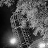 Riffe Center Frozen Trees Black and White Square Riffe Center Frozen Trees black and white