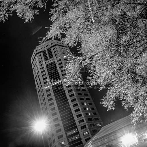 Matte Black MDF Framed Black and White Columbus Photograph: The Riffe Center Engulfed by Frozen Trees in a Square Matte Black MDF Frame