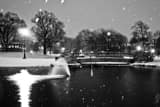 Schiller Park Pond Blanked by Falling Snow black and white Pictures Horizontal Schiller Park Pond Blanked by Falling Snow black and white Pictures