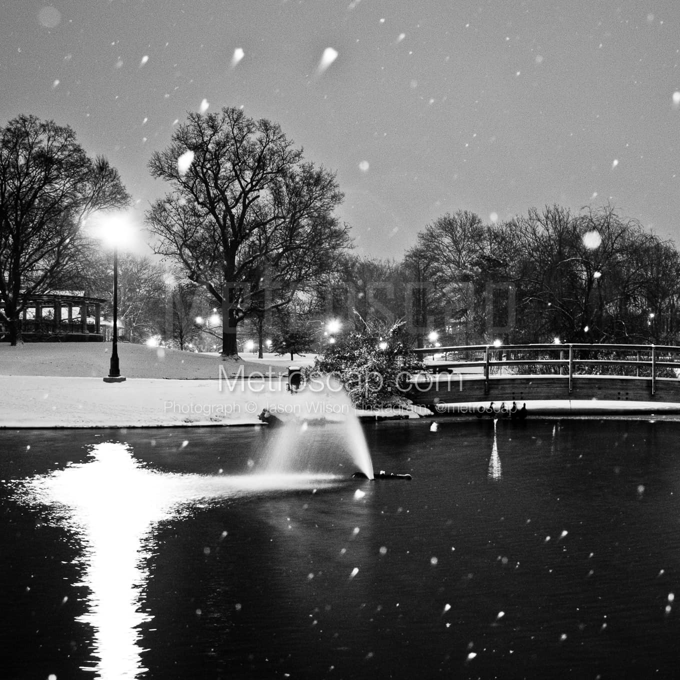 Schiller Park Pond Blanked by Falling Snow black and white Pictures Schiller Park Pond Blanked by Falling Snow black and white Pictures square crop
