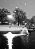 Schiller Park Pond Blanked by Falling Snow black and white Pictures Vertical Schiller Park Pond Blanked by Falling Snow black and white Pictures