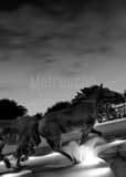 Mustangs Of Las Colinas Black and White Vertical Mustangs Of Las Colinas black and white