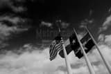 Us Texas Dallas Flags Dallas City Hall Black and White Horizontal Us Texas Dallas Flags Dallas City Hall black and white