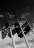 Us Texas Dallas Flags Dallas City Hall Black and White Vertical Us Texas Dallas Flags Dallas City Hall black and white