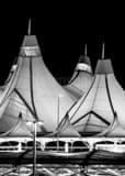 Denver International Airport Black and White Vertical Denver International Airport black and white