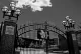 Michigan Stadium Black and White Horizontal Michigan Stadium black and white