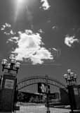 Michigan Stadium Black and White Vertical Michigan Stadium black and white