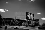 Michigan Stadium Alumni Plaza Black and White Horizontal Michigan Stadium Alumni Plaza black and white