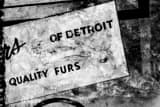 Quality Detroit Furs Black and White Horizontal Quality Detroit Furs black and white