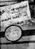 Quality Detroit Furs Black and White Vertical Quality Detroit Furs black and white
