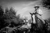A Fort Worth Tx Cowboy Black and White Horizontal A Fort Worth Tx Cowboy black and white