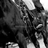 Cowboy Horse Tackle Black and White Square Cowboy Horse Tackle black and white